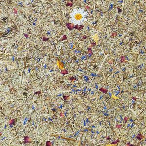 Folia Avery Dennison Organoid Natural Surfaces - Mountain Hay + Marguerites 136cm