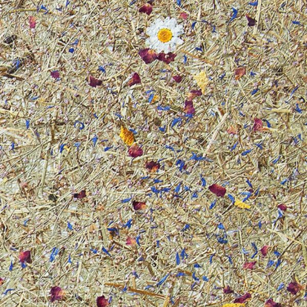 Folia Avery Dennison Organoid Natural Surfaces - Mountain Hay + Marguerites 136cm