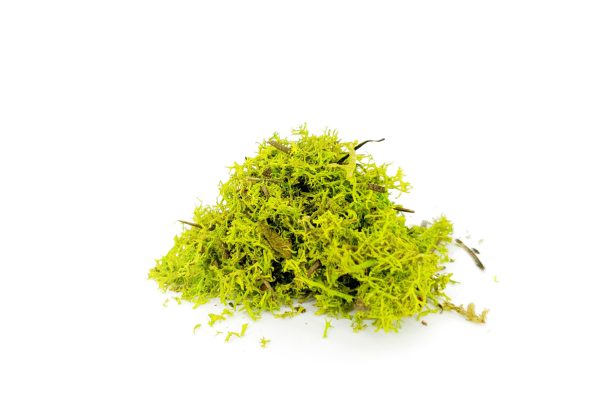 Folia Avery Dennison Organoid Natural Surfaces - Moss Bright Green 136cm