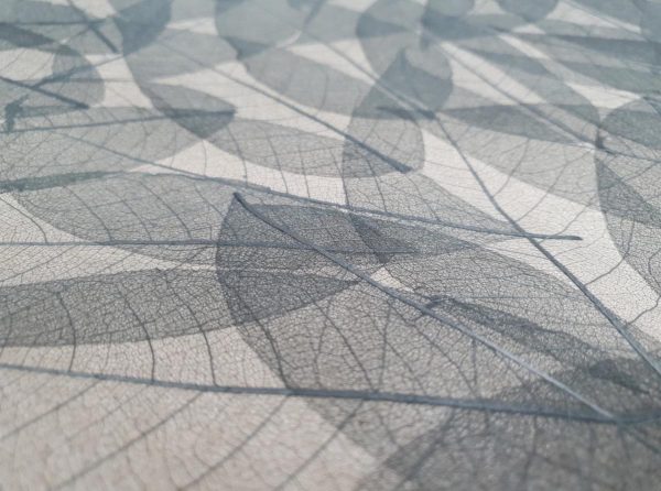 Folia Avery Dennison Organoid Natural Surfaces - Skellet Leaves Black 136cm